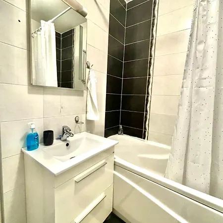 “sofia” Apartment Pirot